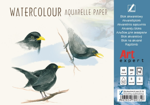 Blok akwarelowy A5 Art Expert 10k 300g biały Kreska